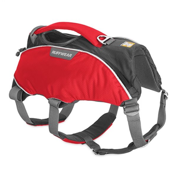 Web Master Pro Harness Red Currant