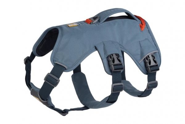 Web Master Harness Slate Blue - M