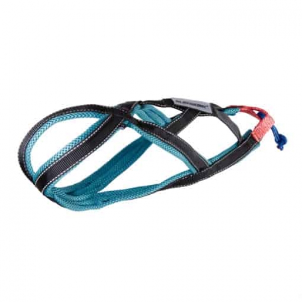 Xback Active/Active G2 Mini