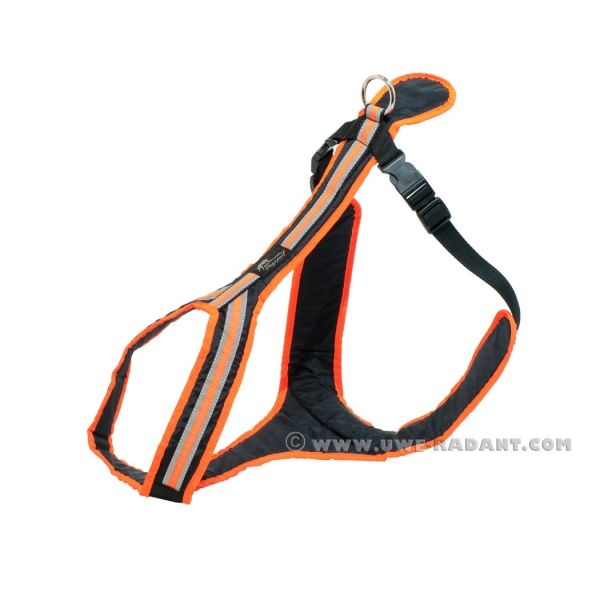 Führ- und Zuggeschirr SAFETY Schwarz-Orange - M/L