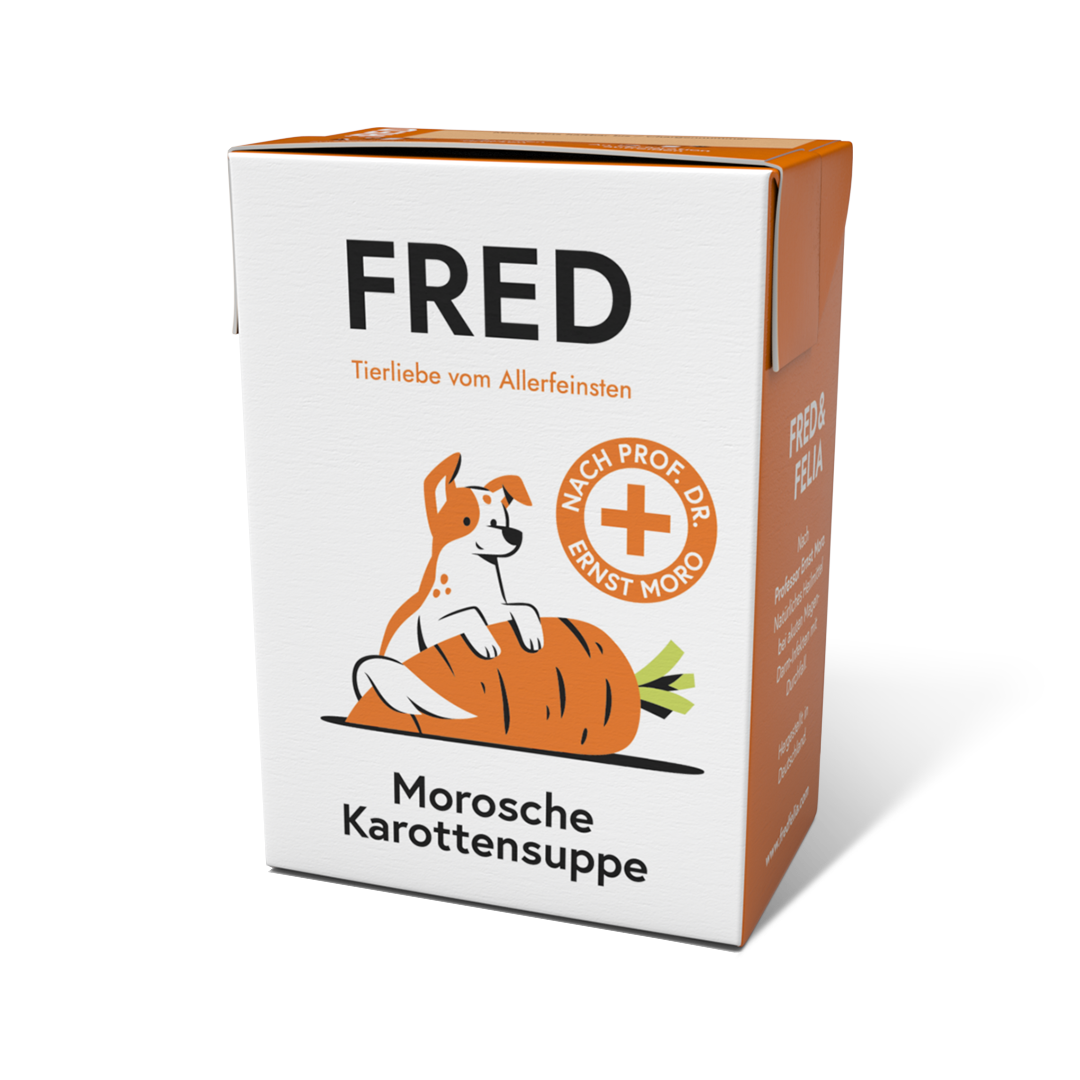 Morosche Karottensuppe