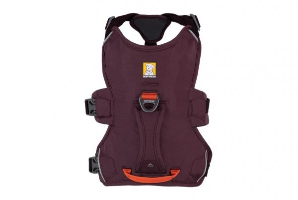 Web Master Harness Purple Rain
