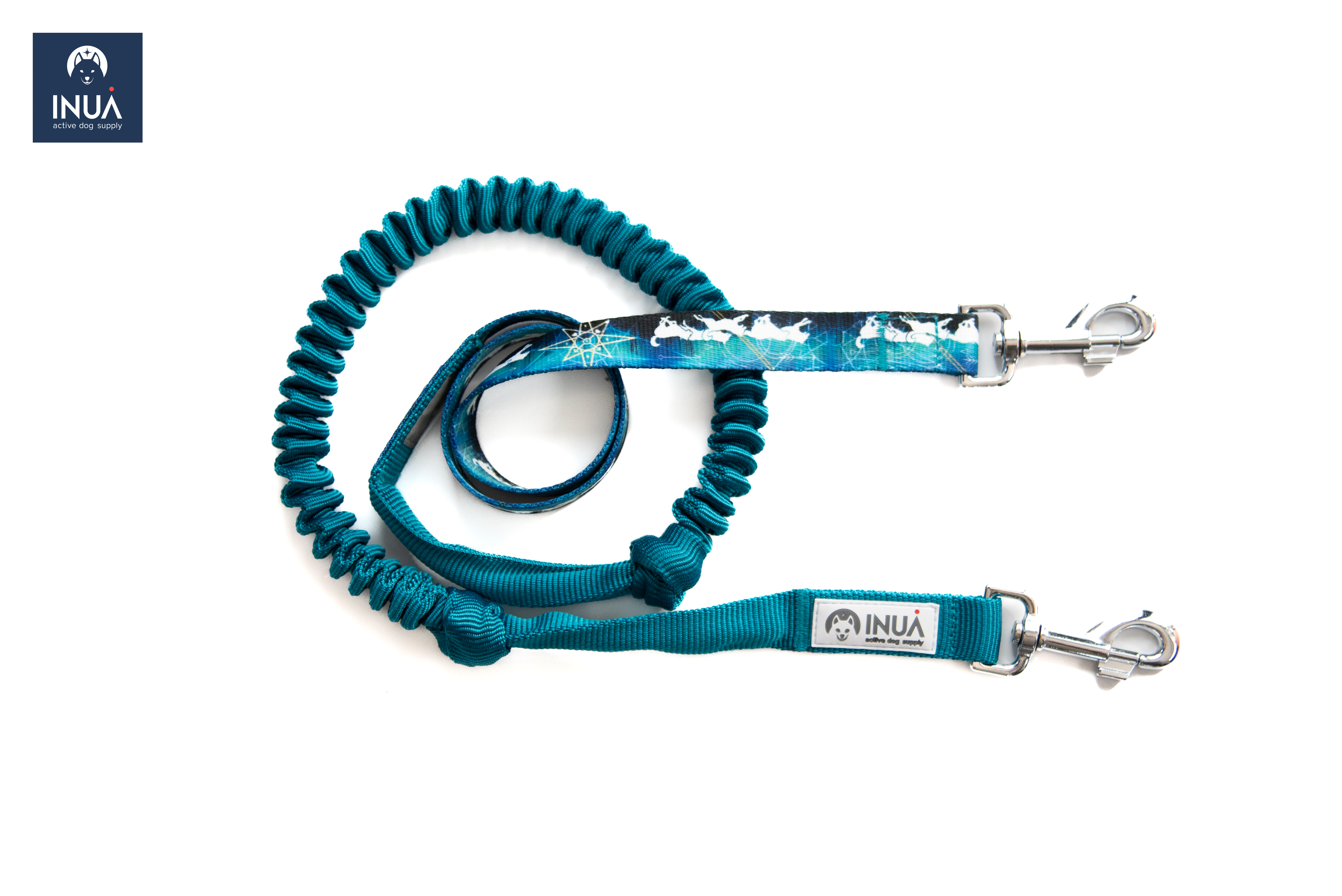 Bungee Leash 160 cm Northern Lights Teal