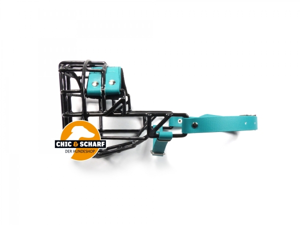 CHOPO schwarz Mittelschnauzer Hündin grün