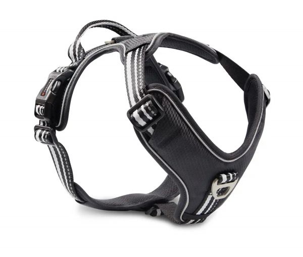 Geschirr Active Pro Schwarz/Silber