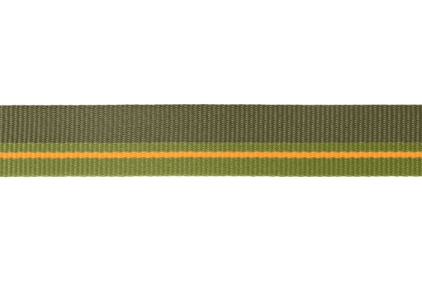Ruffwear Flat Out™ Forest Horizon