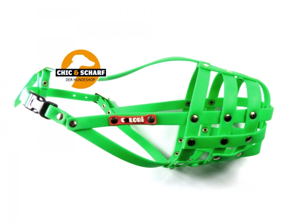 Colori Pitbull Terrier 3 Grün