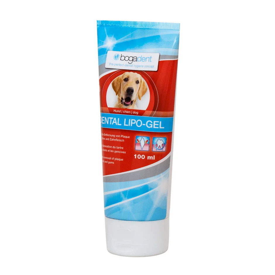 Dental Lipo-Gel Zahnreinigungsgel
