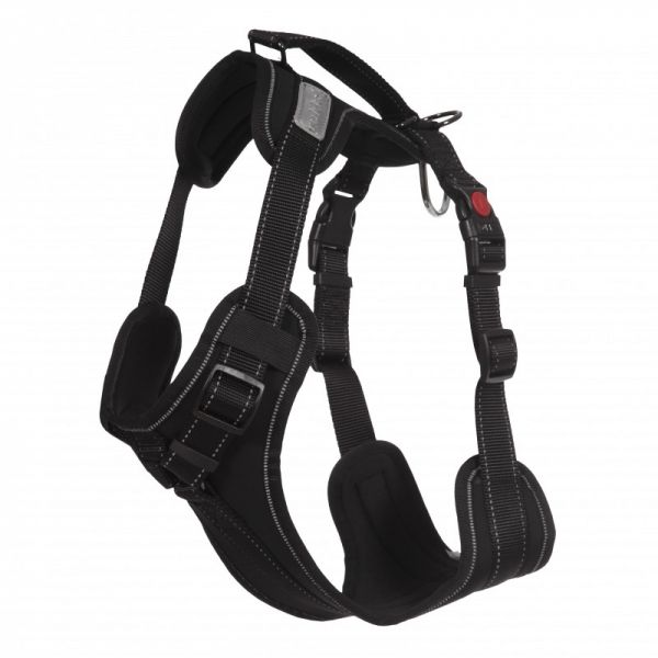 Solid Geschirr Schwarz - XS