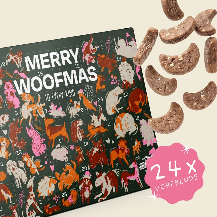 Adventskalender 2026