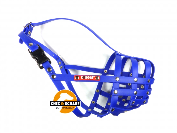 Colori Schnauzer 2 Blau