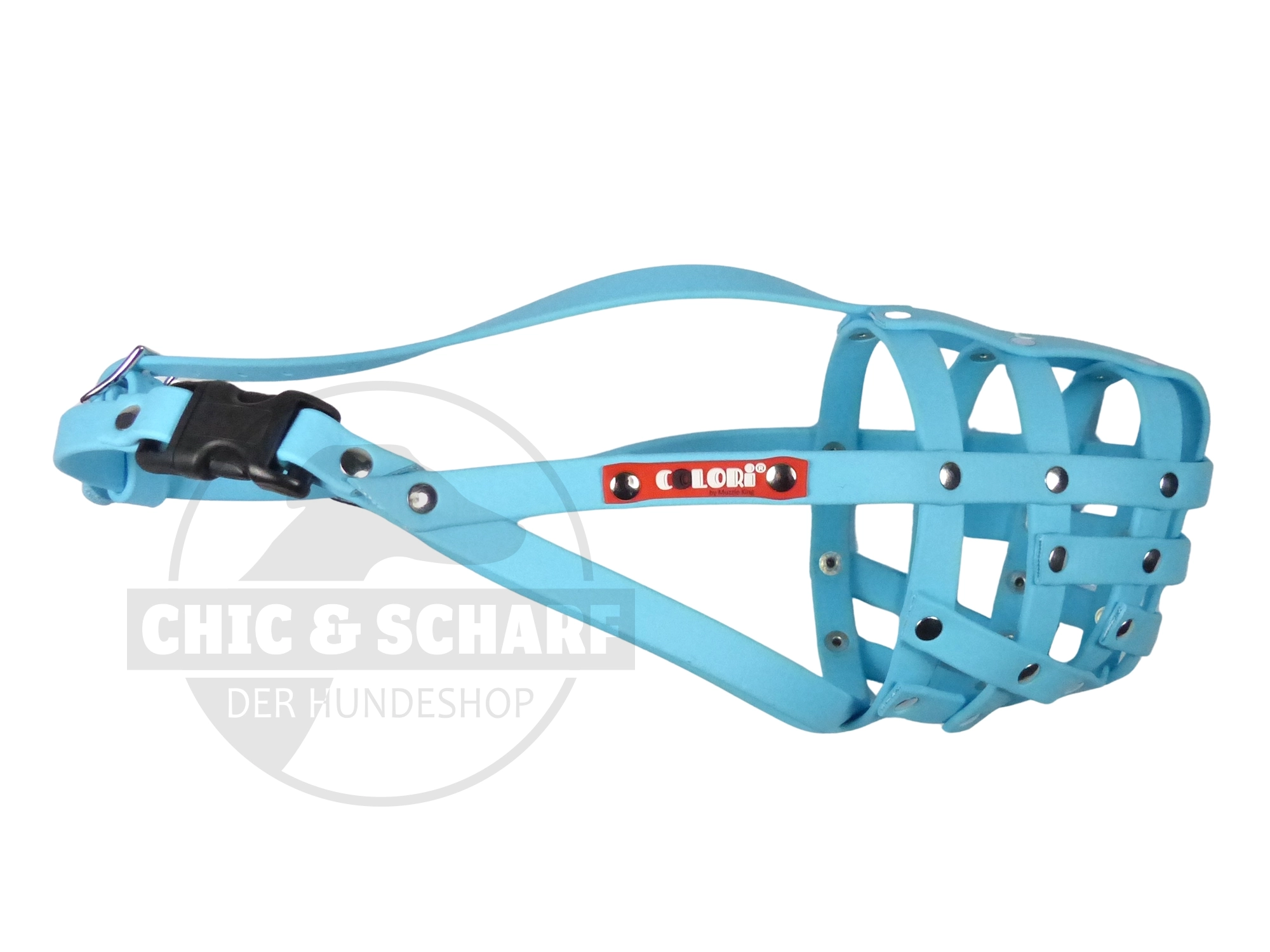 Colori 2.0 Collie 2 Baby Blue