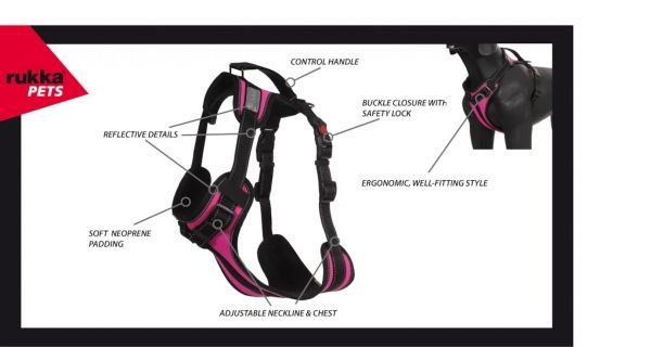 Solid Geschirr Pink - XS