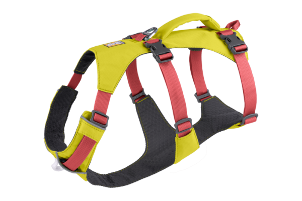 Flagline Harness Lichen Green - L/XL