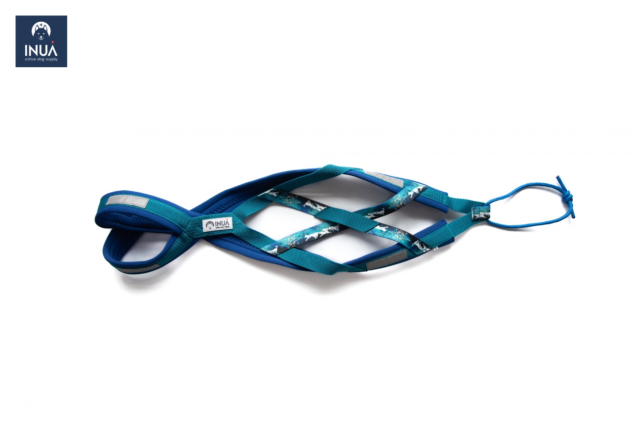 Zuggeschirr X-Back Classic Northern Lights Teal - XXS