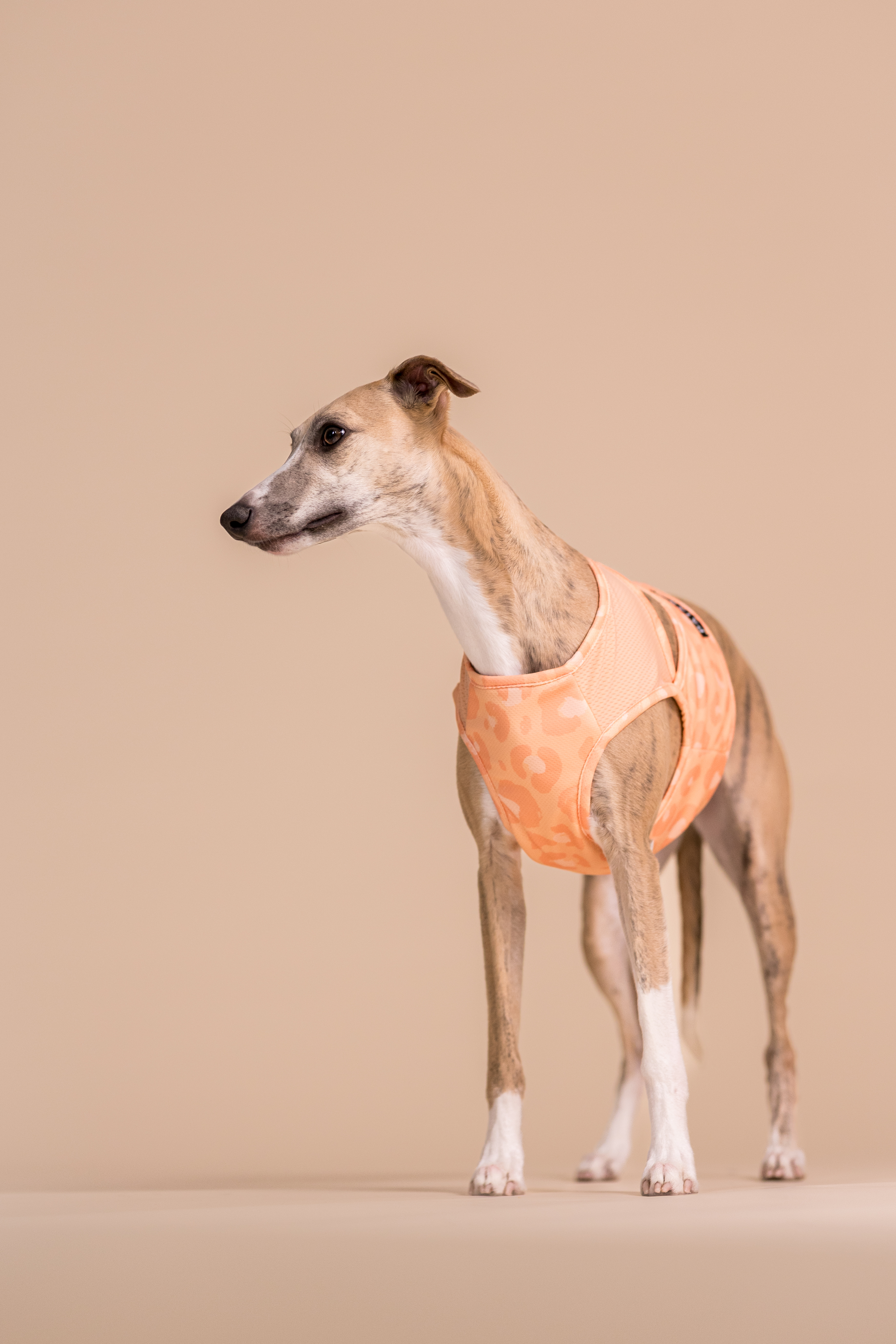 Kühlweste Peach