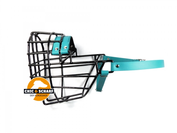 CHOPO schwarz Riesenschnauzer Hündin Biothane grün