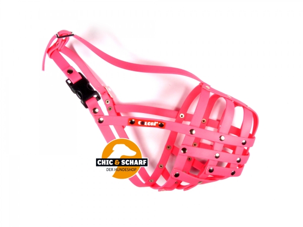 Colori Schnauzer 1 Pink