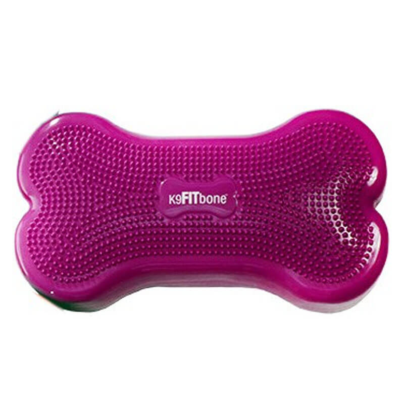 FitPAWS® K9 FITbone Himbeere