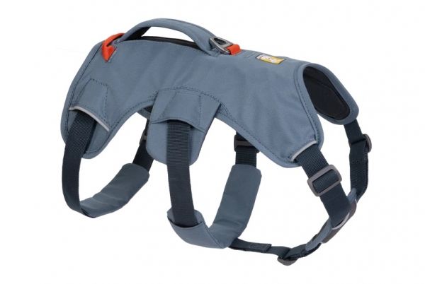 Web Master Harness Slate Blue - M