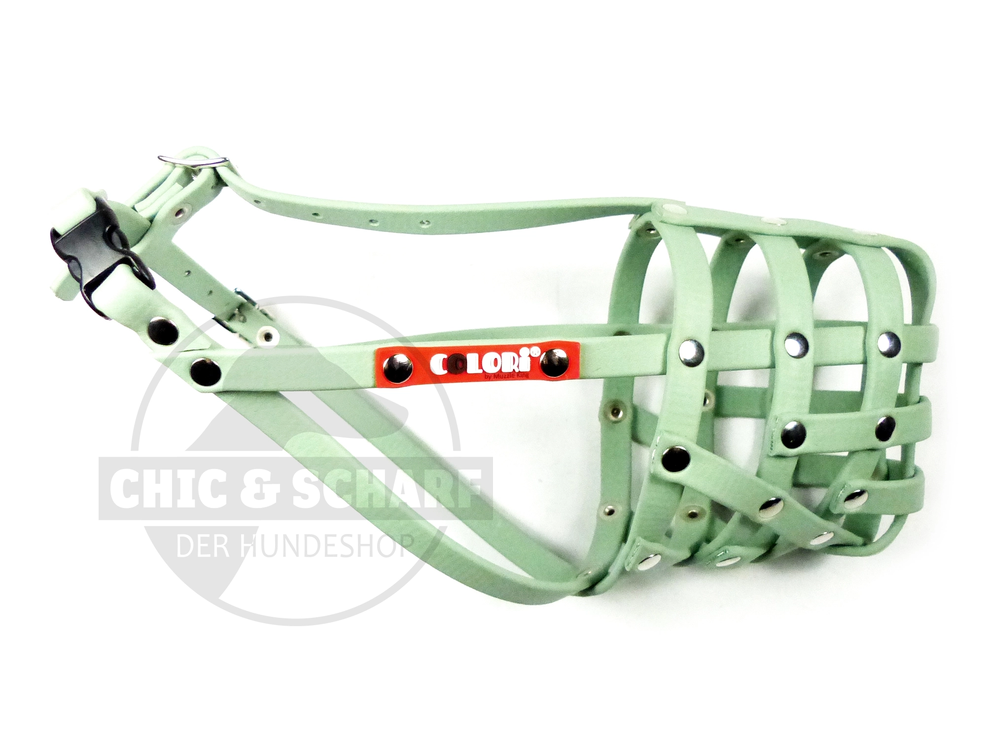 Colori 2.0 Dackel 2 Salvia