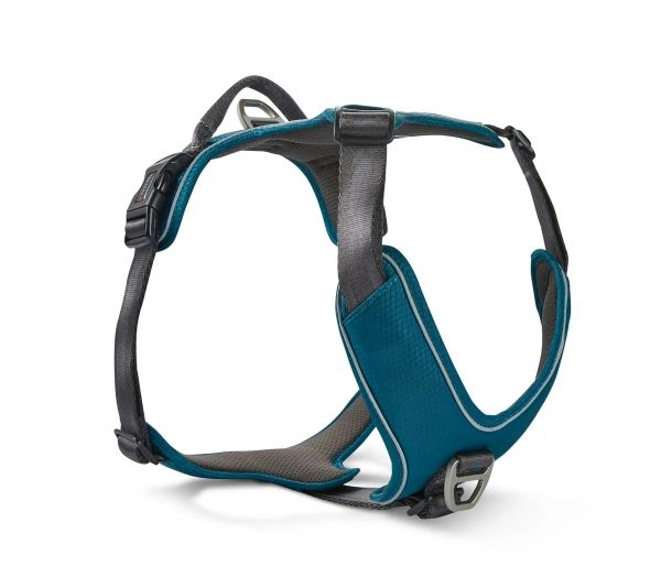 Geschirr Active Pro Comfort Petrol/Anthrazit