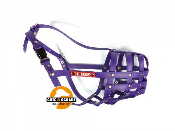 Colori Schnauzer 1 Lila