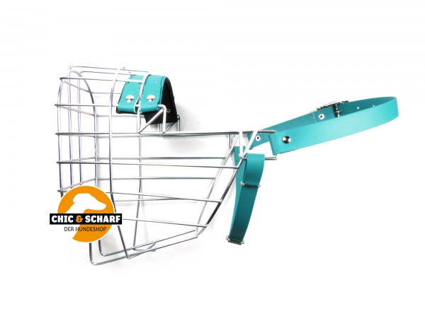 CHOPO Riesenschnauzer Rüde Biothane grün